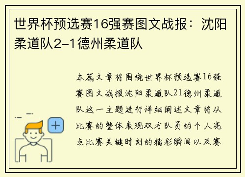 世界杯预选赛16强赛图文战报：沈阳柔道队2-1德州柔道队